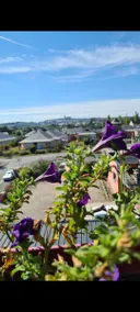 Modern 2-room apartment with stunning views of the cathedral - Image 2