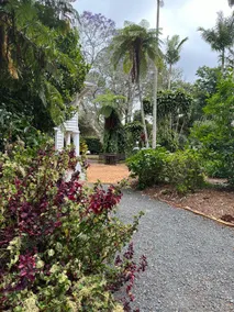 Camellia Cottage - Image 4