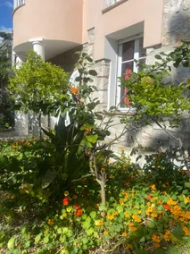 2-room apartment in garden in Nice Port - Image 3