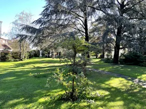 [A Dream Location]+private park in Vinovo - Image 5