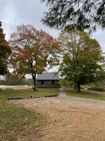 Cabin overlooking wetland area. - Image 2