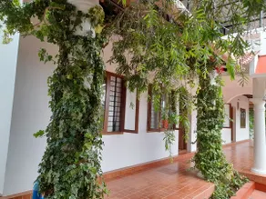 Serene Zest stays - Image 3