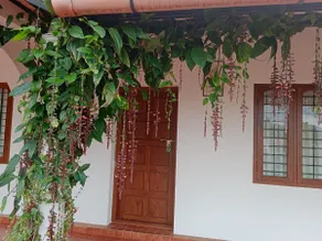 Serene Zest stays - Image 4