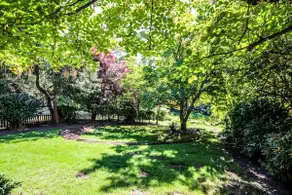 Forest Oasis • 5 Min to Autzen Stadium - Image 5