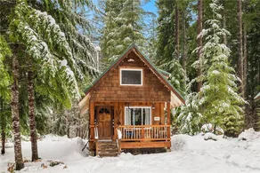 Epic 5-Cabin Retreat w/Sauna & Spas - Image 4