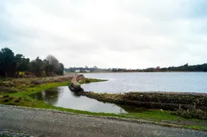 Food, Tourism, Accommodation, and Entertainment - Image 2