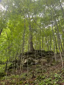 Luxury Mountain Cabin near Snowshoe West Virginia - Image 3