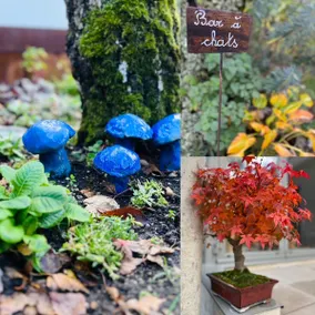 Nice T1 downtown and green – Chez Doudou - Image 2