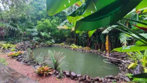 Pé da Serra Village-Cab Nature - Image 5
