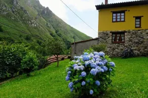 Casa Albina - Image 3