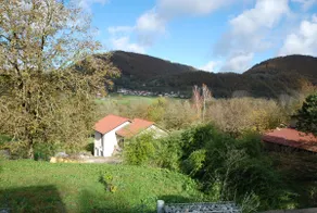 On the way to the mountain pastures - Image 3