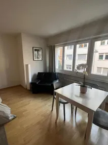 Basel Schweiz Apartment_303 - Image 3