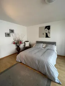 Basel Schweiz Apartment_303 - Image 4