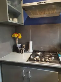 Modern and equipped apartment - Image 3