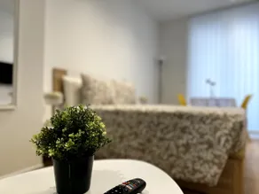 Entire apartment in Valencia. Loft B - Image 3