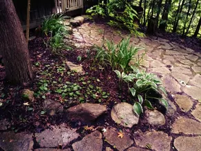 The Enchanted Cottage - Image 5