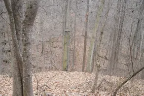 Honey Hole - Image 3