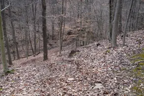 Honey Hole - Image 5