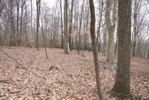 Honey Hole - Image 2