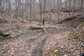 Honey Hole - Image 4