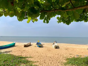 Beach Haven - Seascape, Kappad Beach - Kozhikode - Image 3