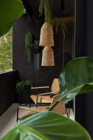 ZEST Verde - Image 5