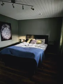 Basement apartment with sauna - Image 3