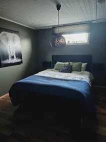 Basement apartment with sauna - Image 4
