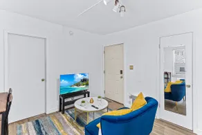 Stunning luxury 1 bed 1 bath - Image 2