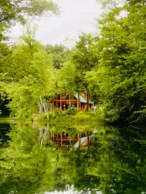 Hidden Gem-Log Cabin on 56 Acres - Image 5