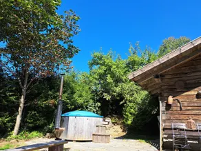 Rustic Waidhaisl Hütt'n, mountain hut for up to 10 people - Image 4