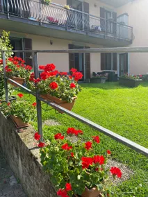 Peonia Apartment | Lake-view apartment - Image 4