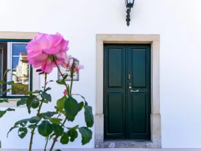 Quinta das Amoras - In the heart of the olive groves - Image 2