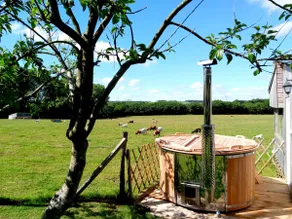 Cabin and its Finnish sauna with goats - Image 3