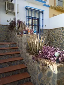 La Aracelitana - Image 3
