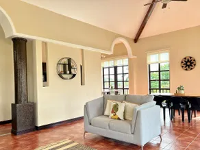 ”Coconut Water” Apartment - Image 3