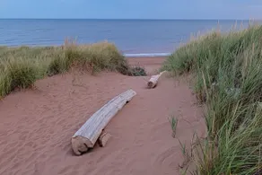 Best Beach Getaway - Image 2