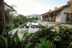 Villa Queen Palm - Image 4