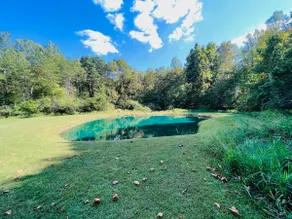 Hummingbird Haven Getaway Cabins - Image 5