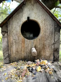 The house between the lakes. - Image 4