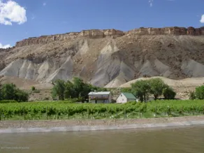Palisade Vineyard Paradise! - Image 3