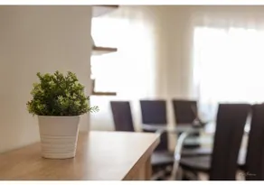 Luxury Apartment - Image 4