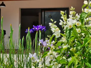 Charming studio with large terrace - Image 5