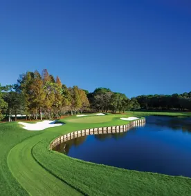 Caddys Shack - Image 3