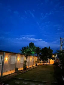 Ponta da fruta - Image 3