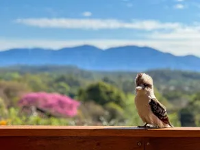 Spectacular Views, Pet Friendly and WFH Ready! - Image 5