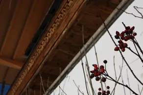 Top Lodge - Image 5