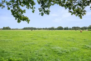 Voorhuis De Kruidenhoeve in the Reestdal - Image 5