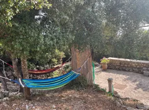The House in the Trees - Image 5