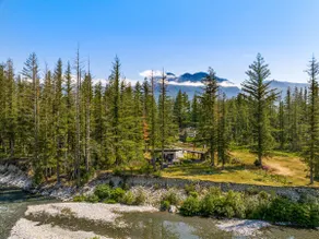 Dancing Bear Cabin | Sauna | Riverview | Secluded - Image 3
